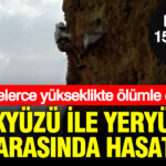 Gökyüzü ile yeryüzü arasında hasat başladı: Kilosu 15 bin liradan satılıyor