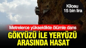 haber-gorseli-1786526089088