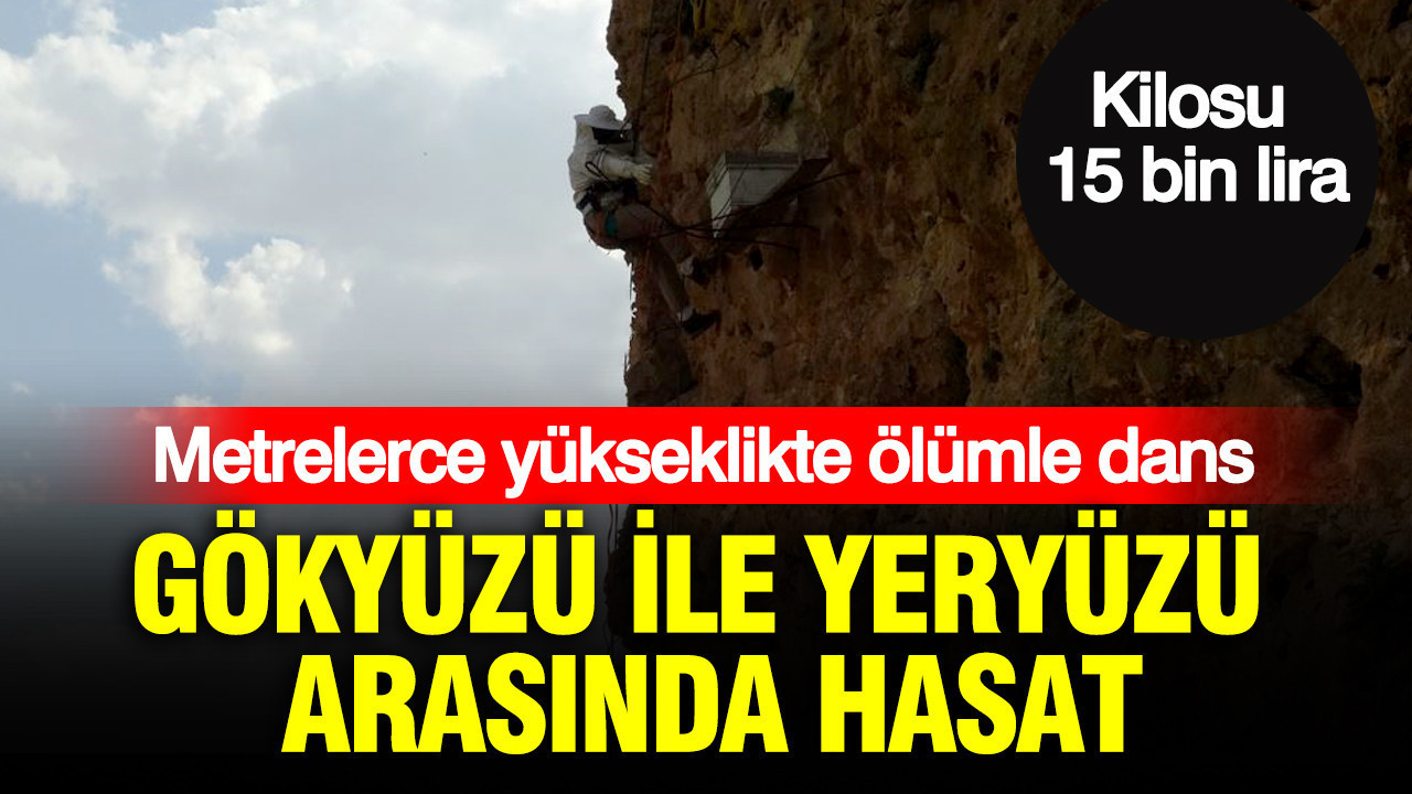 haber-gorseli-1786526089088